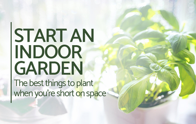 Medium a4732ab36b 290419 nationalgardeningweek 790x500