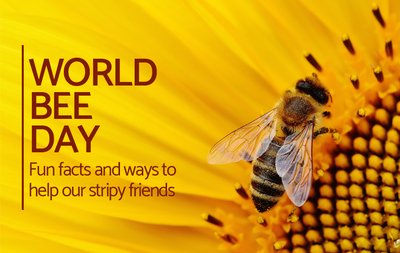 Medium f7b8adb7b5 200519 worldbeeday 790x500